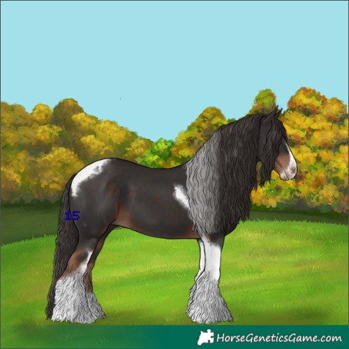 Horse Color:Liver Chestnut Tobiano Frame 