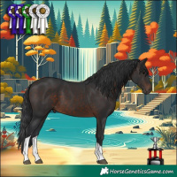 Horse Color:Brown Tobiano