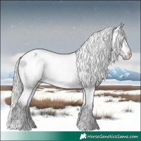 Horse Color:Platinum Silver Buckskin Dun Appaloosa 