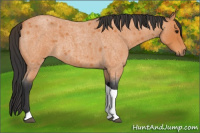 Horse Color:Bay Roan Tobiano 