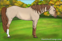 Horse Color:Red Dun 