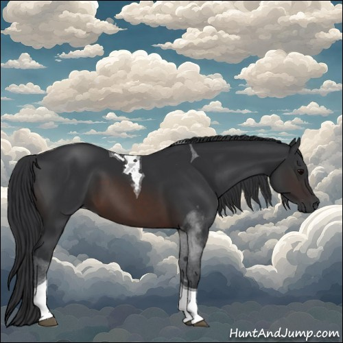 Horse Color:Brown Tobiano 