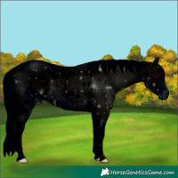 Horse Color:ERROR: UNKNOWN ANOMALY