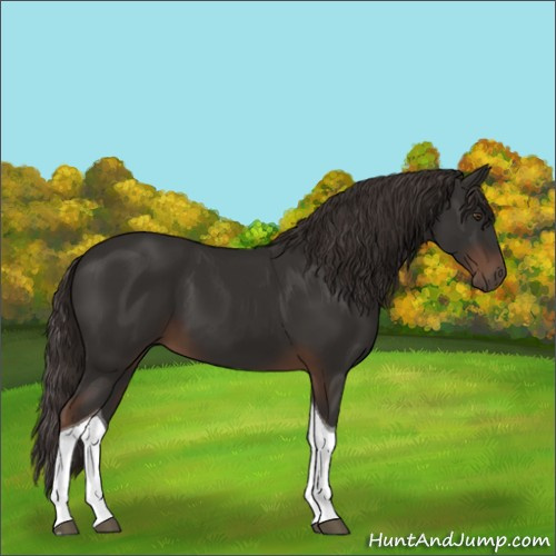 Horse Color:Liver Chestnut Tobiano