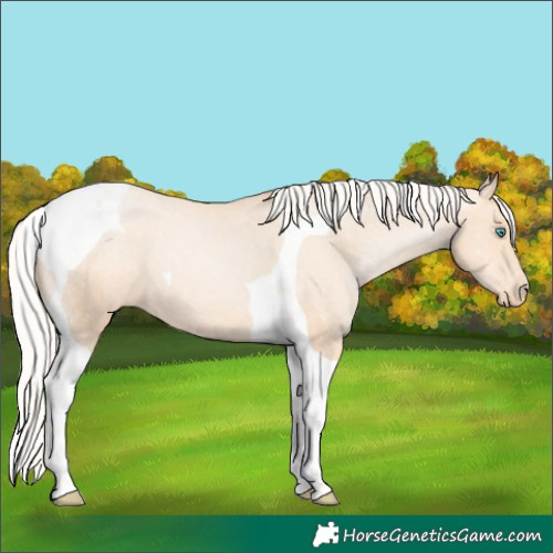 Horse Color:Silver Classic Champagne Pearl Tobiano Varnish