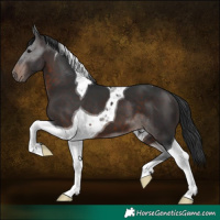 Horse Color:Brown Tobiano 