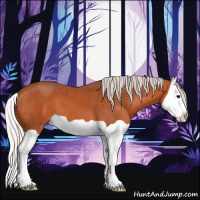 Horse Color:Silver Bay Splash 