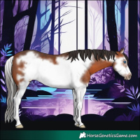 Horse Color:Bay Splash Frame