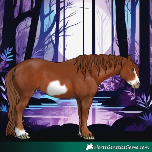 Horse Color:Chestnut Frame 