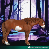 Horse Color:Chestnut Frame 