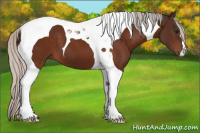 Horse Color:Silver Bay Tobiano 