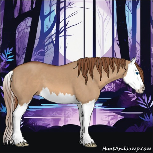 Horse Color:Red Dun Splash 