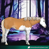Horse Color:Palomino Splash 