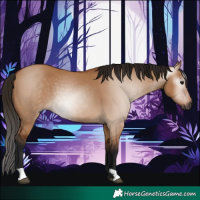 Horse Color:Gray Bay Dun 