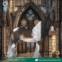 Horse Color:Brown Splash Tobiano