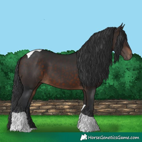 Horse Color:Brown Tobiano 