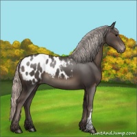 Horse Color:Silver Black Blanket