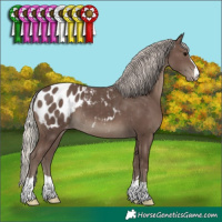 Horse Color:Silver Black Blanket 