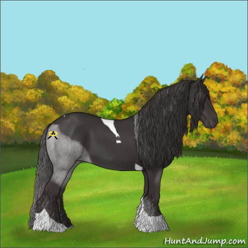 Horse Color:Smoky Black Tobiano 