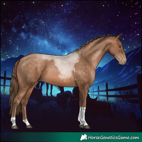 Horse Color:Brown Pearl Tobiano 