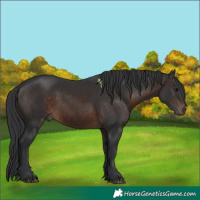 Horse Color:Brown 