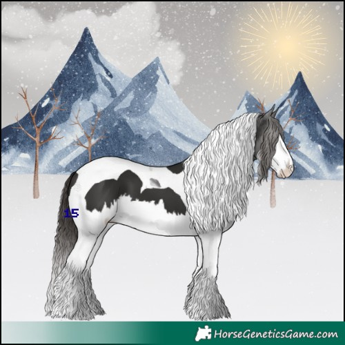 Horse Color:Liver Chestnut Splash Tobiano 