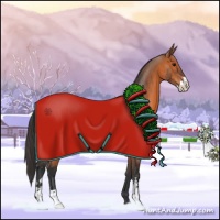 Horse Color:Bay Sabino 