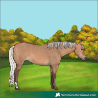 Horse Color:Silver Bay Dun 