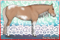 Horse Color:Silver Bay Dun Sabino Tobiano Frame Rabicano 