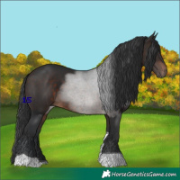Horse Color:Brown Tobiano 