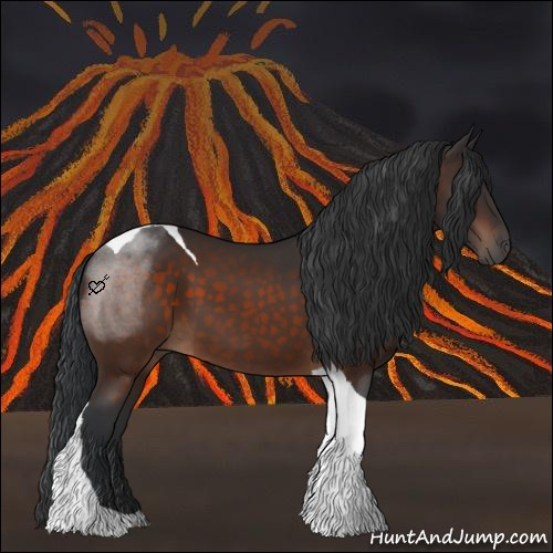 Horse Color:Brown Tobiano