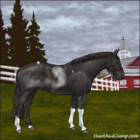 Horse Color:Liver Chestnut Tobiano 