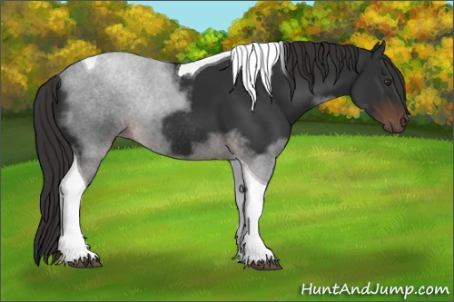 Horse Color:Liver Chestnut Tobiano Rabicano 