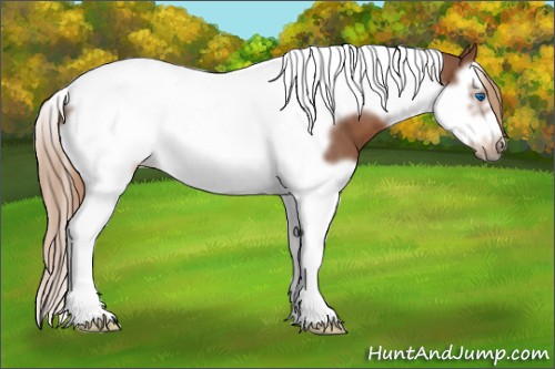 Horse Color:Red Roan Splash Tobiano Frame