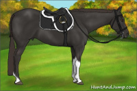 Horse Color:Liver Chestnut Tobiano 