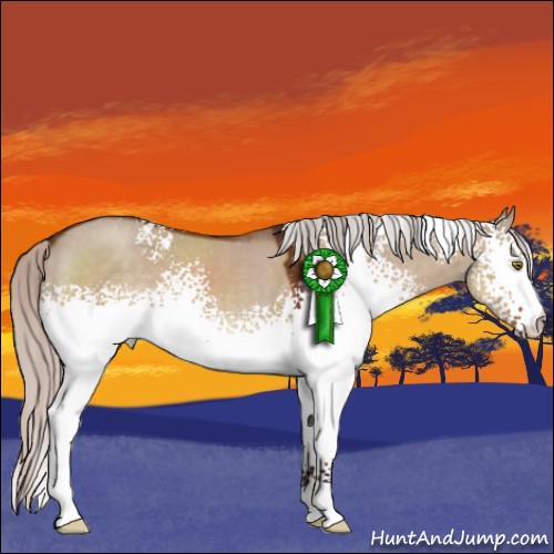 Horse Color:White Spotted Silver Brown Dun 