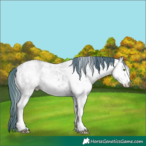 Horse Color:Watercolor White Spotted Classic Champagne Ice Dun Sabino Rabicano 