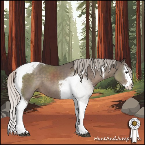 Horse Color:Silver Black Sabino Splash Tobiano 