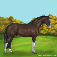 Horse Color:Brown Splash Tobiano 
