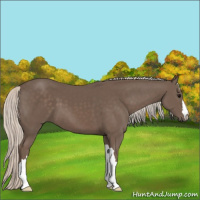 Horse Color:Silver Black 