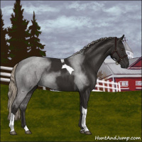 Horse Color:Liver Chestnut Tobiano 