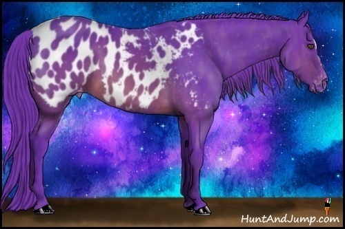 Horse Color:Watercolor Brown Splash Appaloosa  Brindle