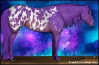 Horse Color:Watercolor Brown Splash Appaloosa  Brindle