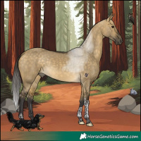 Horse Color:Buckskin Dun Tobiano