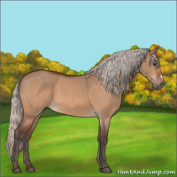 Horse Color:Silver Bay Dun 