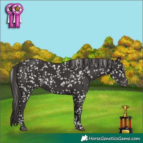 Horse Color:Smoky Black Tobiano Snowflake Varnish