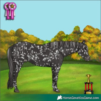 Horse Color:Smoky Black Tobiano Snowflake Varnish