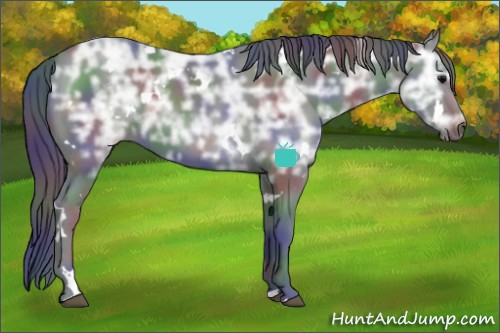 Horse Color:Nacre White Spotted Black Ice 