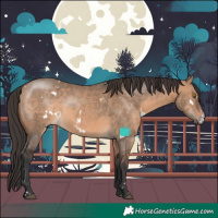 Horse Color:White Spotted Brown Dun 