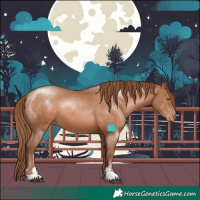 Horse Color:Brown Pearl Sabino